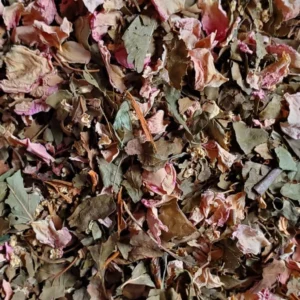 Tisane cocon